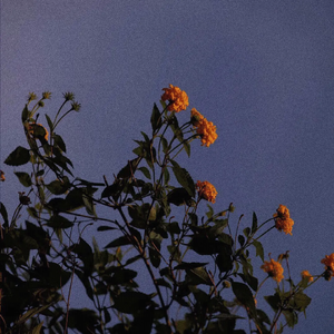 一女被多人伦轩wwwww视频
